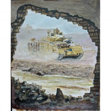 Desert Warrior Iraq