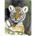  tiger cub